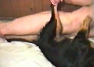 Close-up shots of dirty animalistic sex