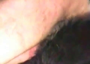 Close-up shots of dirty animalistic sex