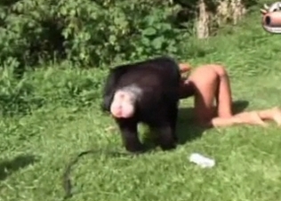 Brazilian beauty fucking a hung gorilla