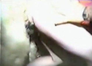 Lustful hottie fucking with animals