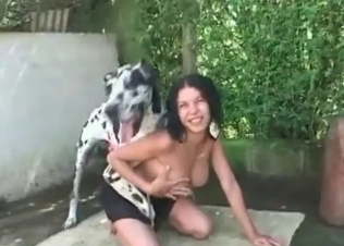 Kinky dog and its massive boner