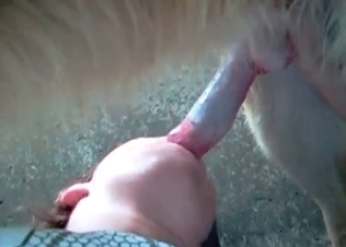 Animalblowjob