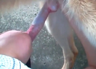 Incredible blowjob done upside-down