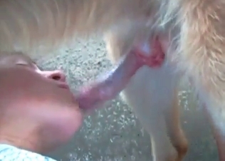 Incredible blowjob done upside-down