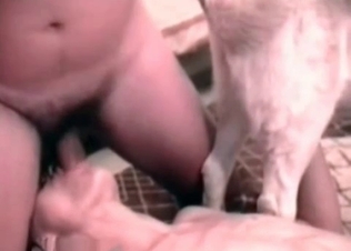Threesome animalistic sex