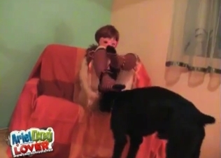 Dog knows how to eat pussy just right