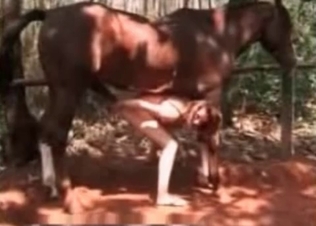 She love massaging that mare schlong