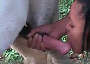 Amazing load of cum from a horse