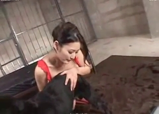 Dog fucks a gorgeous Asian babe