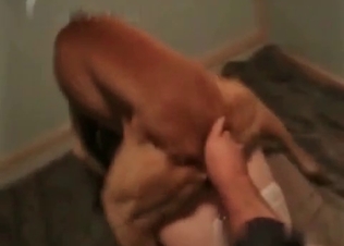 Busy babe has time to fuck animals