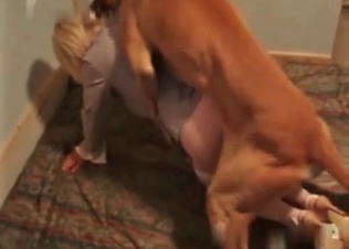 Busy babe has time to fuck animals