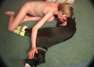 Dog just lays there and relaxes