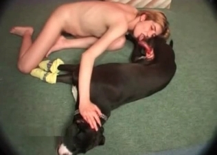 Dog just lays there and relaxes