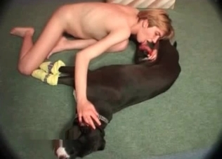 Dog just lays there and relaxes