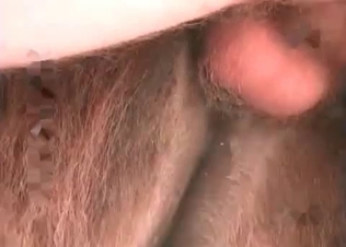 Horse loves his big dick