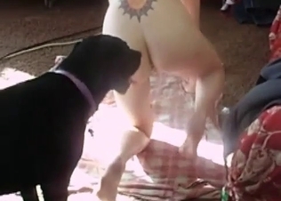 Black dog tongue-fucking her pussy