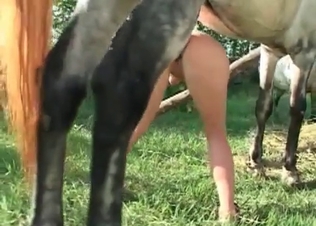 Big horse cock for a thin blonde