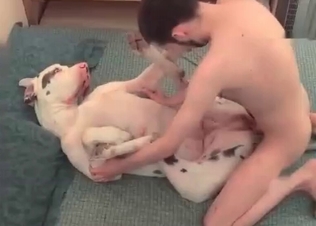 Dog gets railed by a hot guy