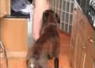 Puppy being great at licking pussy