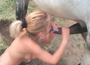 Sexy scene with a horse