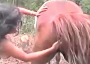 Horse gets some anal pleasure