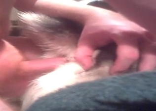 Attractive dog fucking with passion