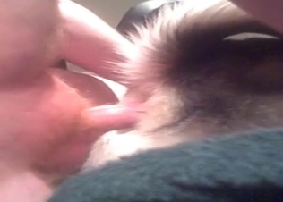 Attractive dog fucking with passion