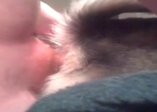 Attractive dog fucking with passion