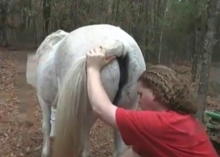 Chubby zoophile fucking a horse
