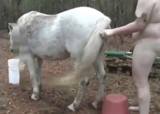 Chubby zoophile fucking a horse