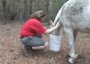Chubby zoophile fucking a horse