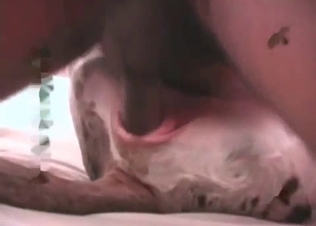 Doggy gets all the attention