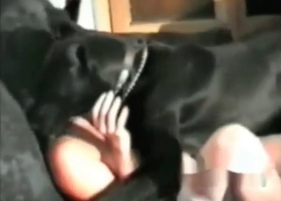 Smart dog knows how to fuck