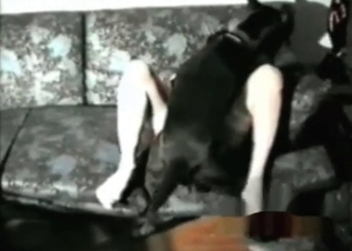 Smart dog knows how to fuck