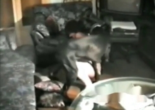Smart dog knows how to fuck