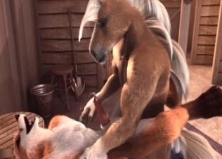 Horse gets an amazing BJ from a fox
