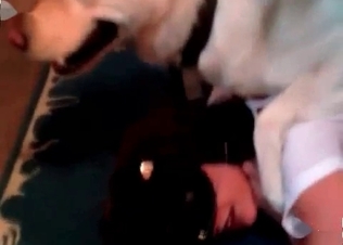 Dog fuck for a cutie