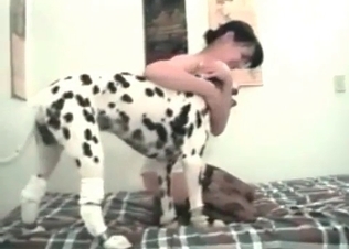 Doggy style sex for Dalmatian