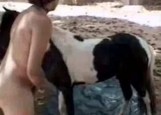 Kinky slut and a pony
