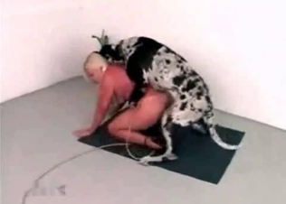 Blondie gets ravaged by a Dalmatian