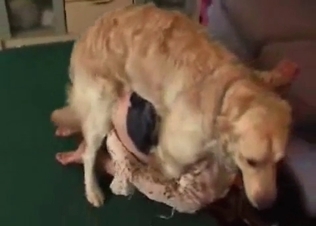 White hot dog fucking her