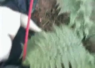 Outdoors fuck for a tyke