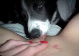 Fresh pussy for a husky