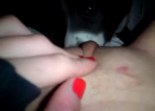 Fresh pussy for a husky