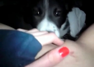 Fresh pussy for a husky
