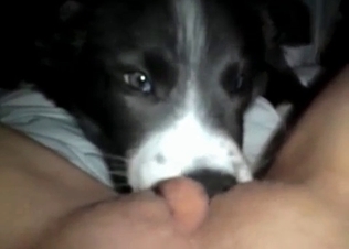 Fresh pussy for a husky