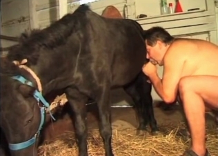 Chubby slut and a horse