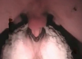 Horse’s anal hole drilled