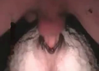 Horse’s anal hole drilled