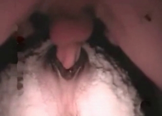 Horse’s anal hole drilled